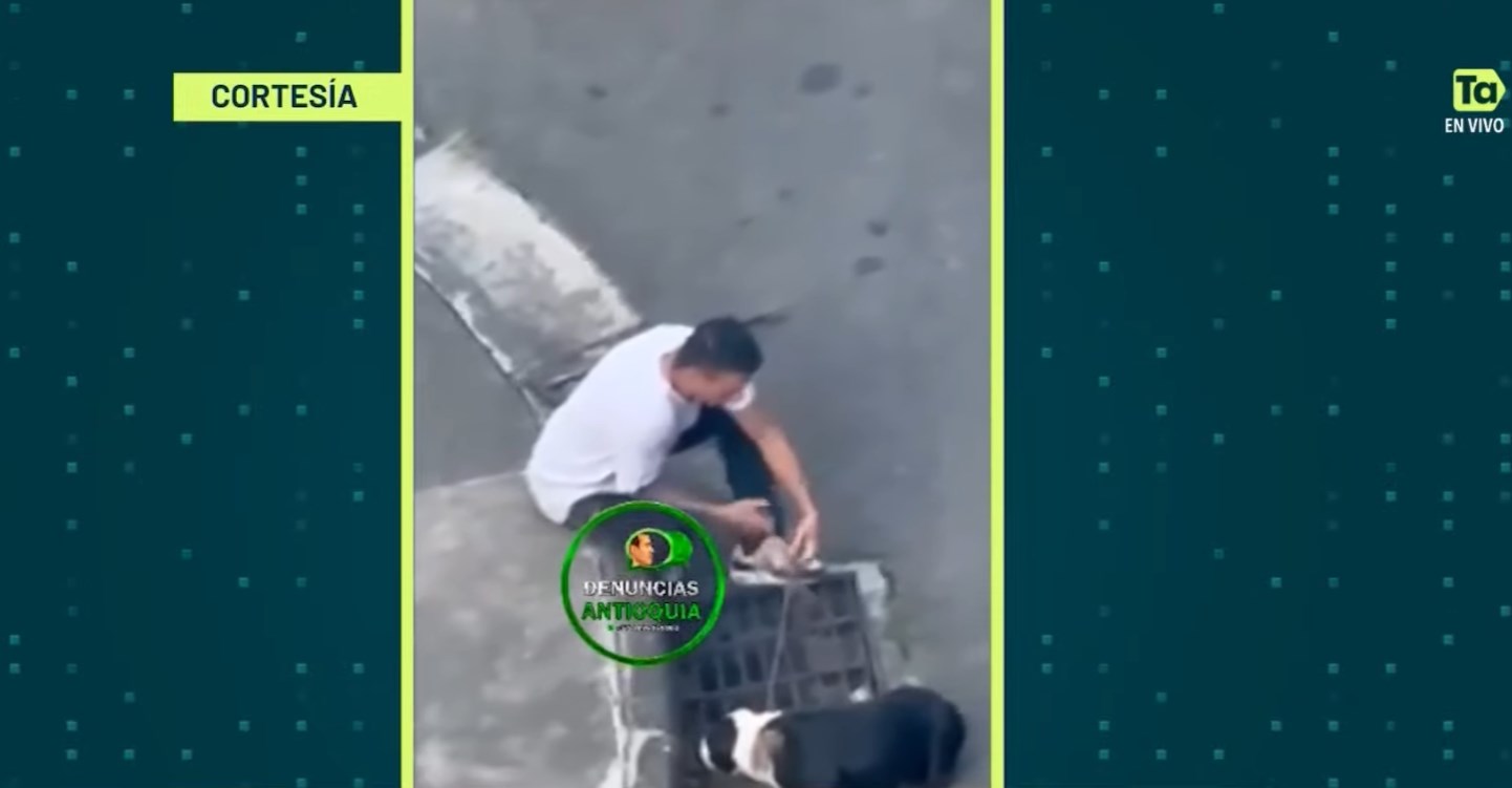 Rescatan a perro maltratado en Belén