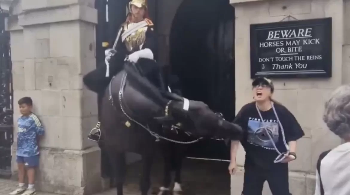 Turista fue atacada por caballo de la Guardia Real de Londres