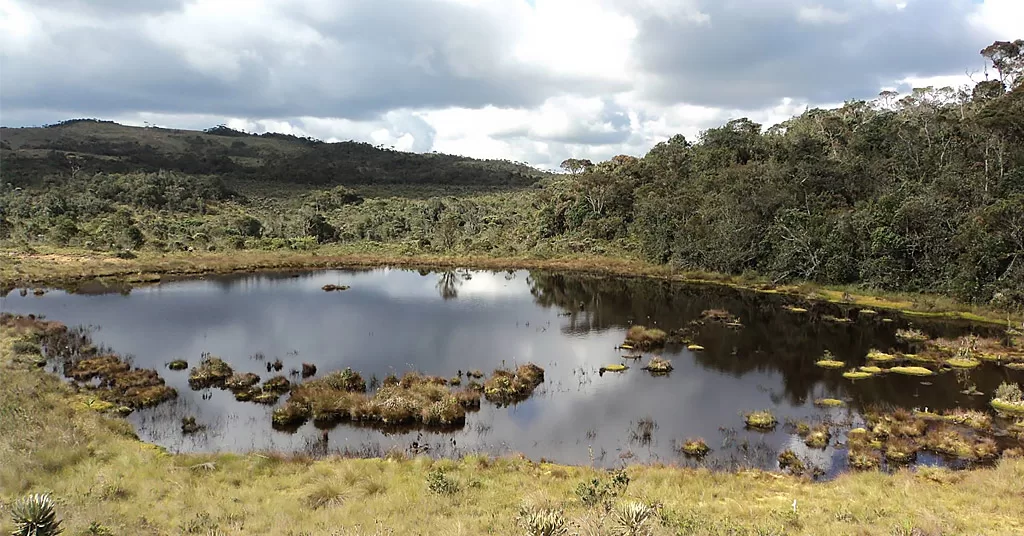 ¡Un paraíso natural beneficia a cerca de un millón de personas con sus aguas! En uno de sus ecosistemas, se encuentra la laguna sabanas con un gran espejo de agua. Foto: Páramos Colombia