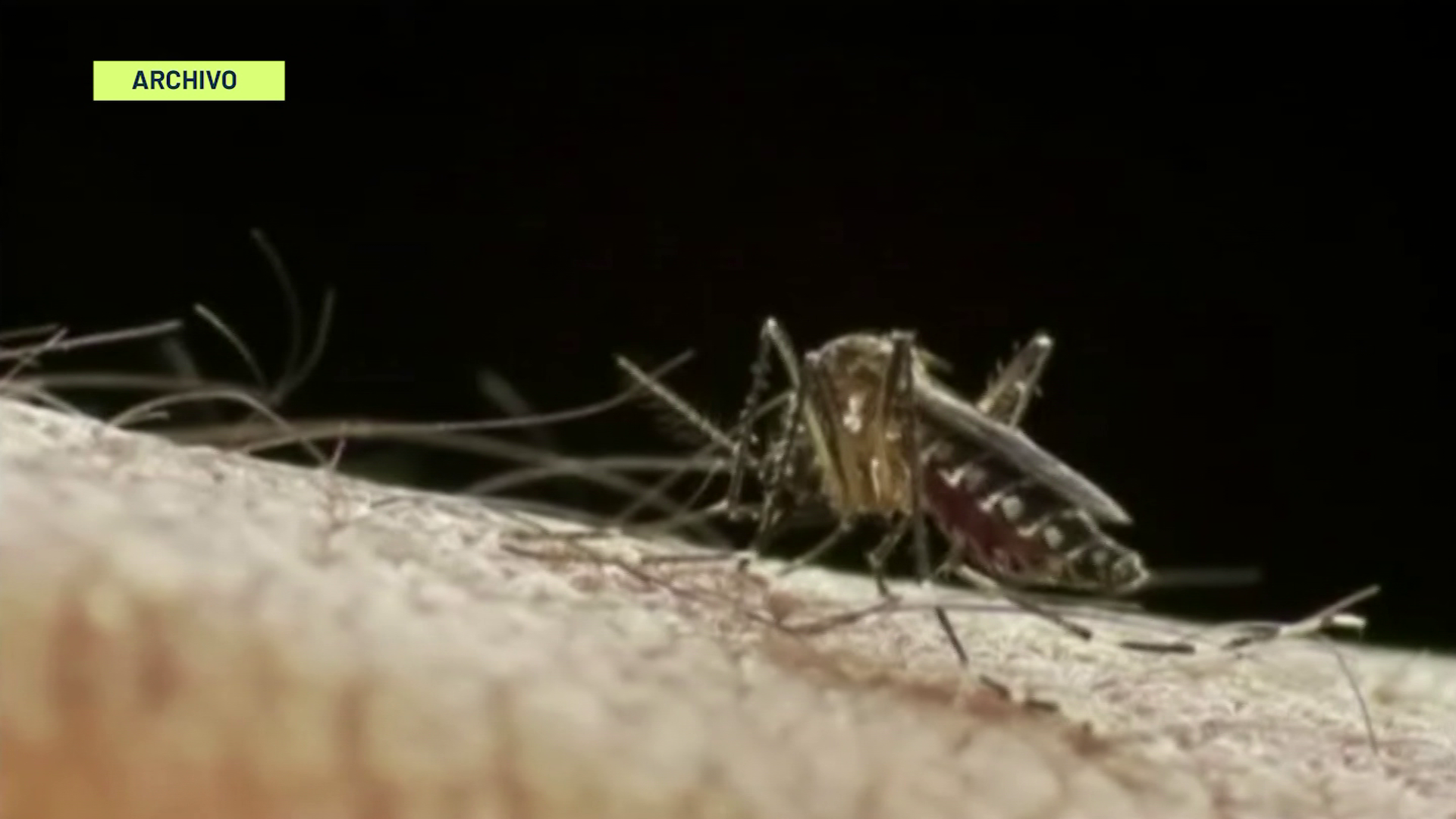 Medellín en alerta roja por aumento de dengue