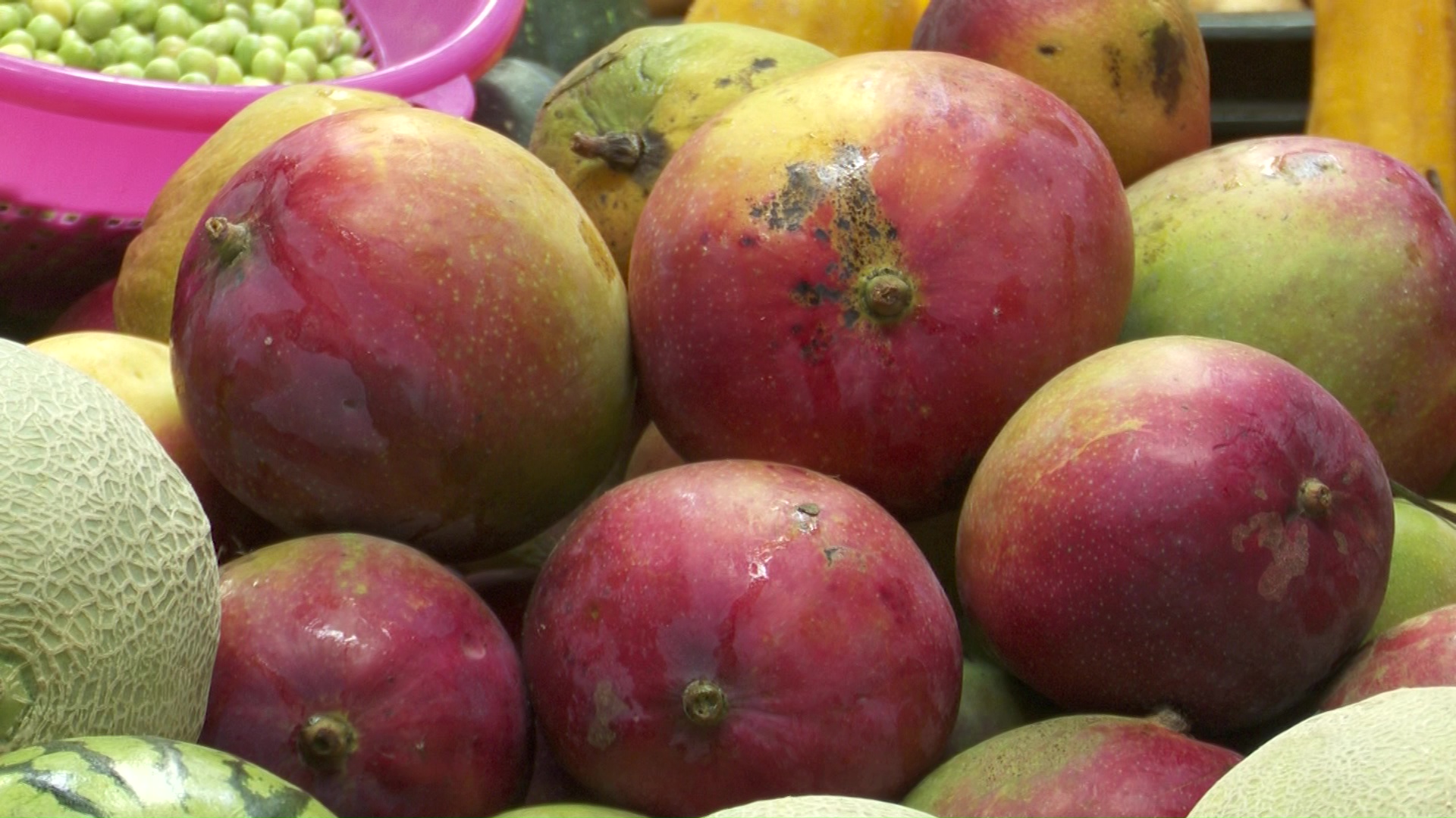 Antioquia primer exportador de fruta del país