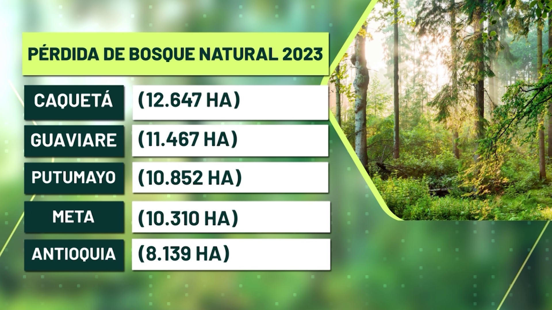 En 2023 Antioquia perdió 8.139 hectáreas de bosque