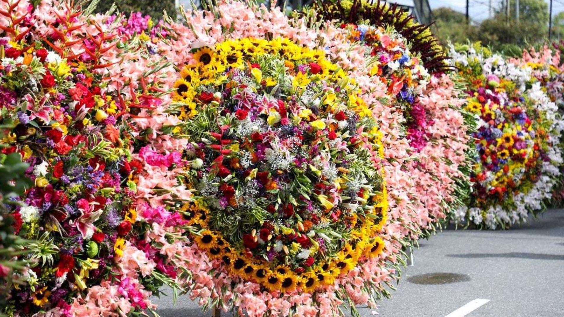 Desde hace más de 60 años, miles de personas se reúnen en torno a esta fiesta para recordar, exaltar y perpetuar los valores y las tradiciones antioqueñas. Foto tomada de: visitarmedellin.com