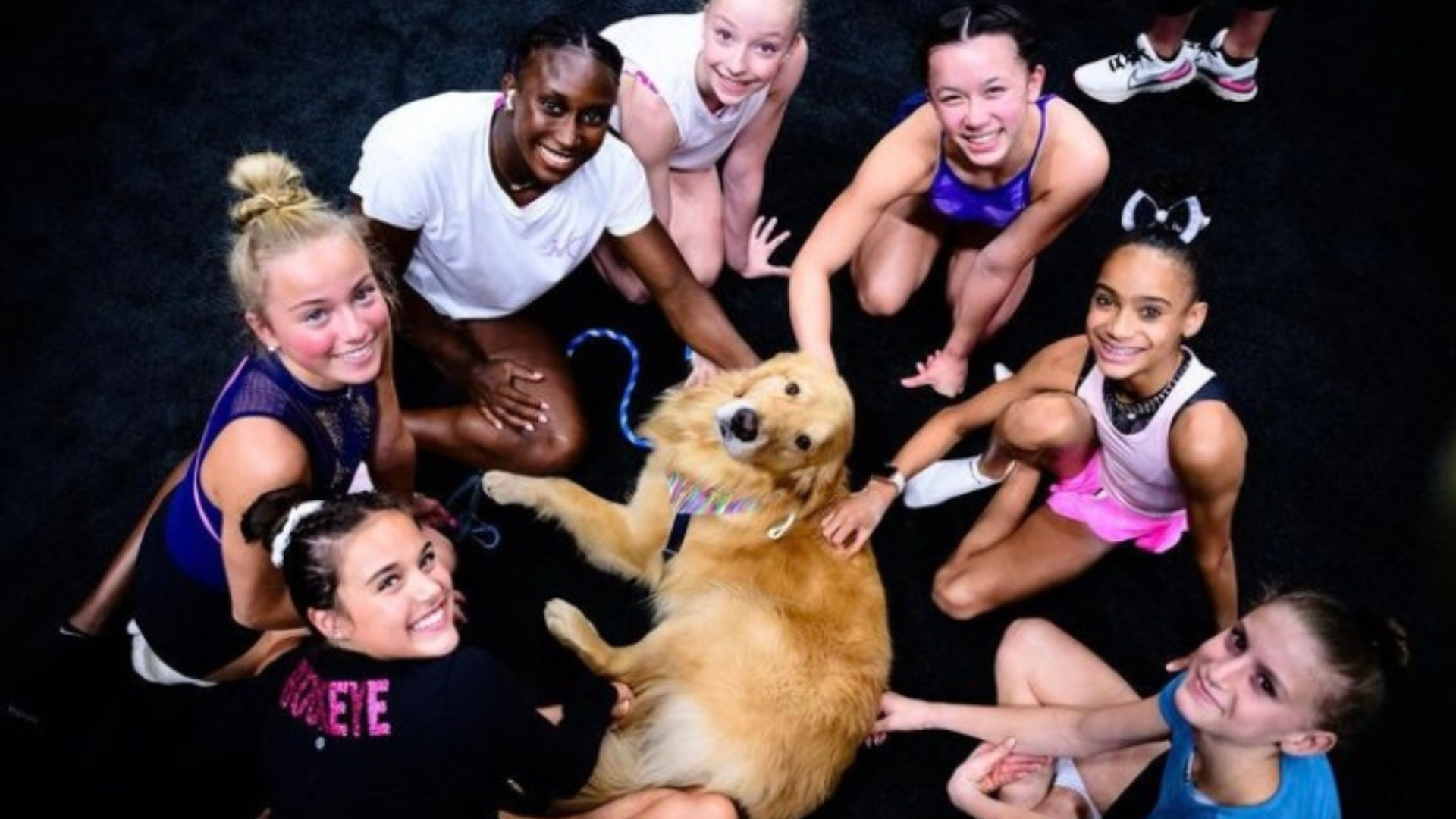 Fue adoptado por Tracey Callahan Molnar, una ex entrenadora de gimnasia rítmica de 65 años, cuando era apenas un cachorro. Foto tomada de Instagram: @goldendogbeacon
