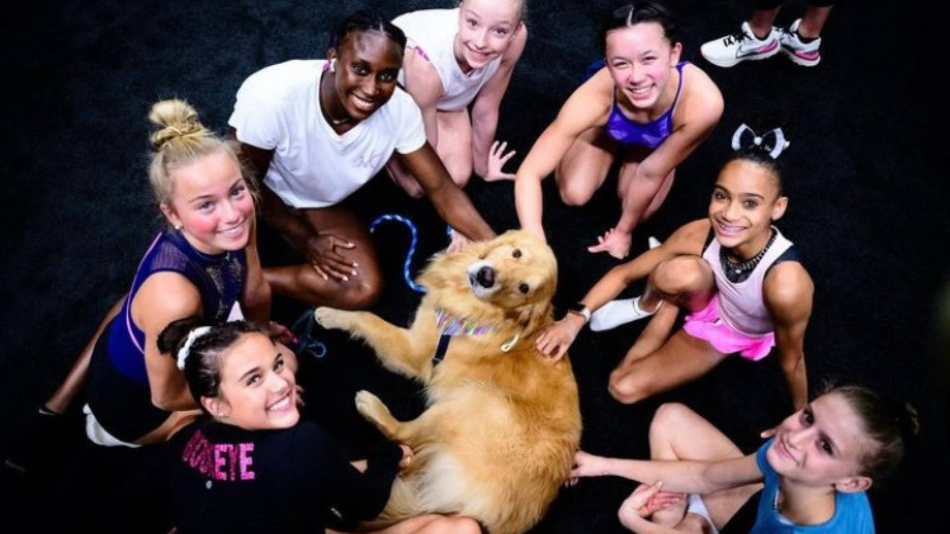 Fue adoptado por Tracey Callahan Molnar, una ex entrenadora de gimnasia rítmica de 65 años, cuando era apenas un cachorro. Foto tomada de Instagram: @goldendogbeacon 