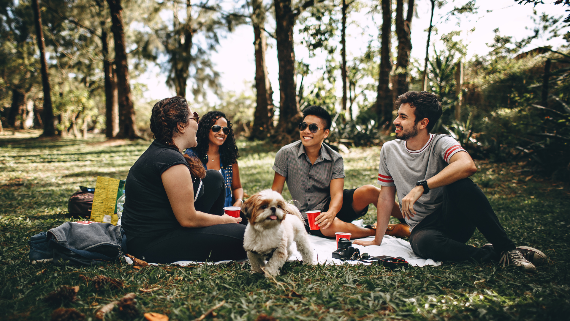 Tres lugares para ir de picnic con tu perro en Medellín