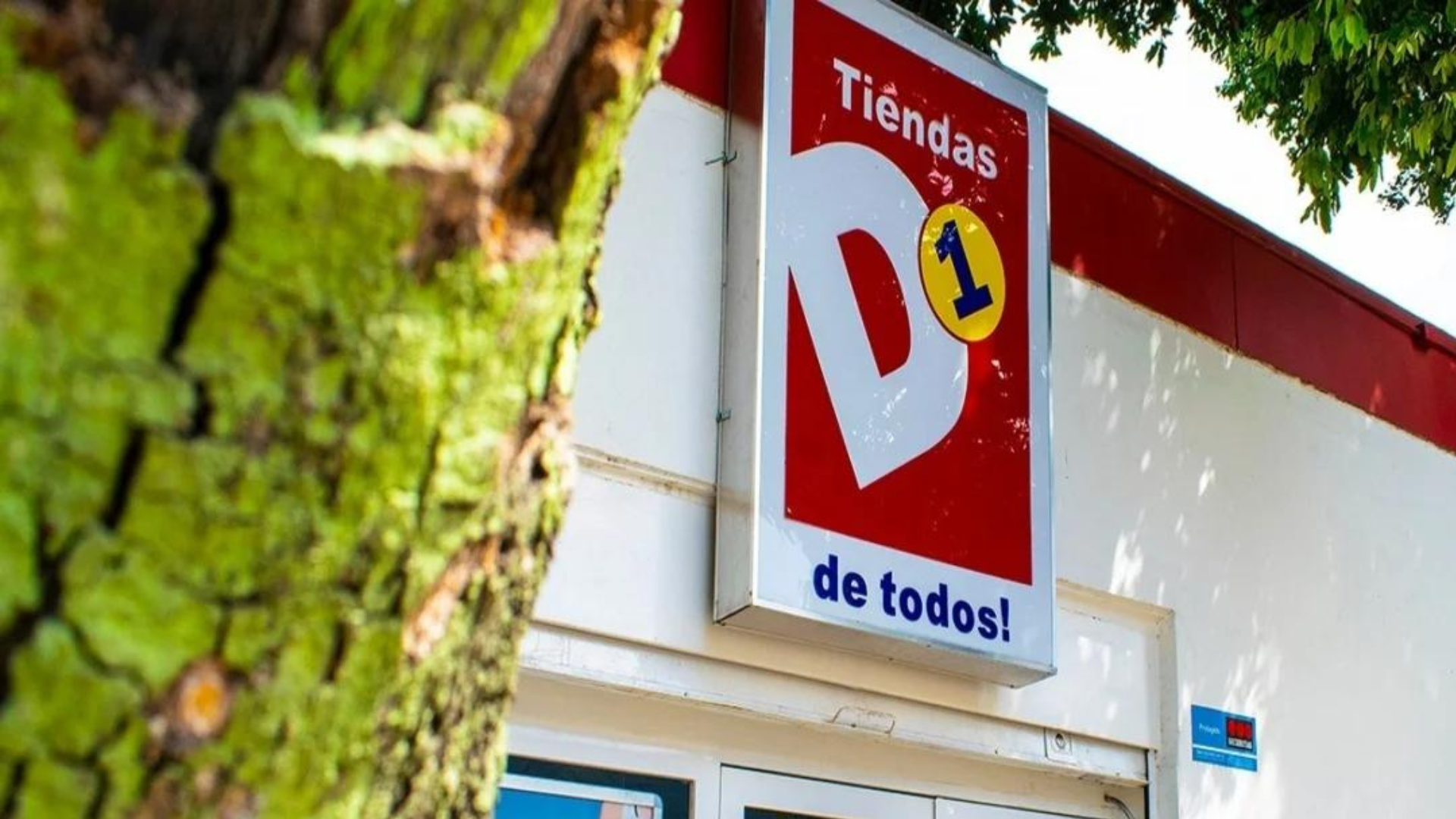 Tiendas D1 anuncia el lanzamiento de su primera línea de ropa