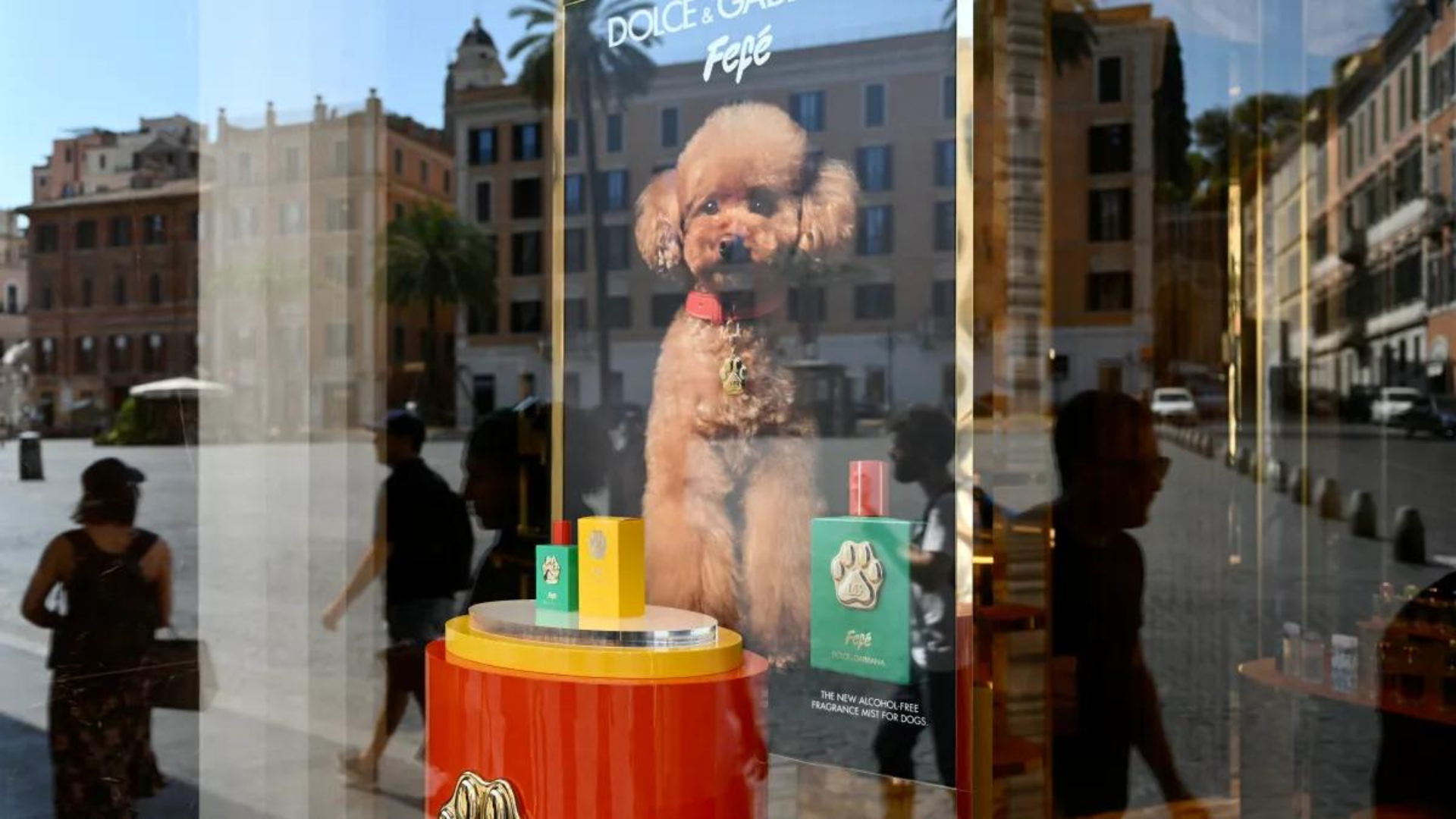 ¿Lo comprarías? Dolce & Gabbana lanza perfume para perros llamado Fefé