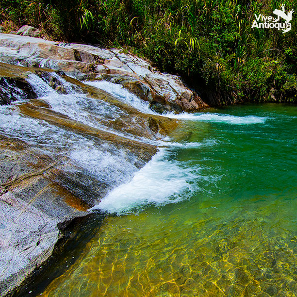 Foto: Vive Antioquia