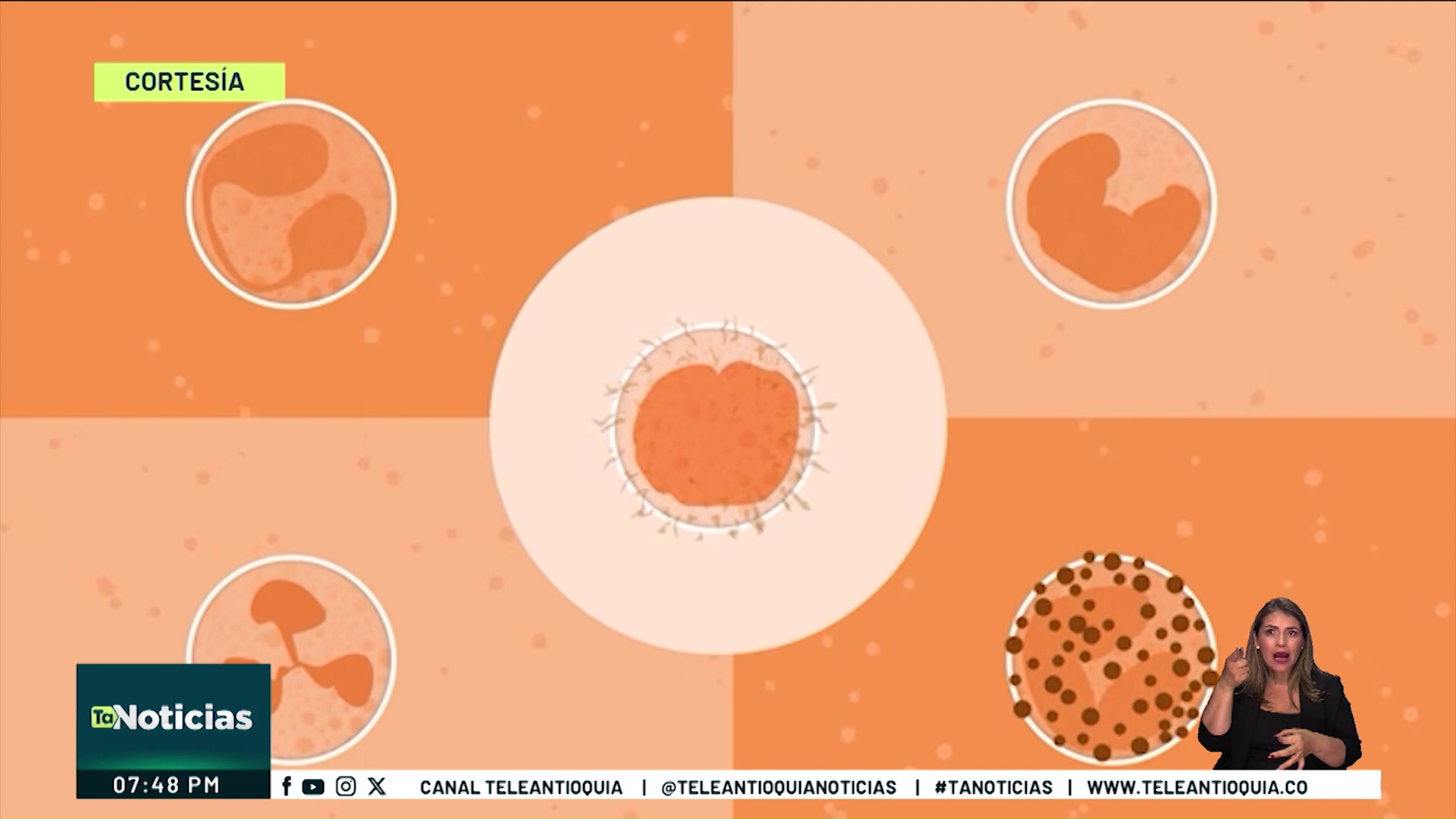 Cáncer que afecta a glóbulos blancos, este es su panorama en Colombia