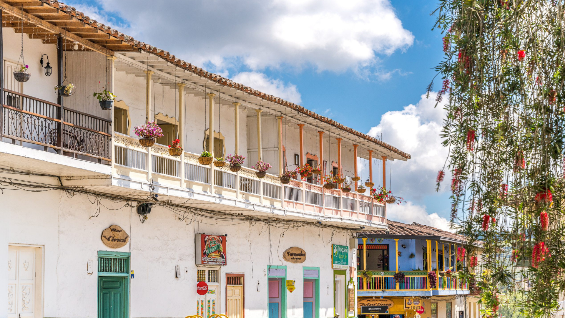 Así será el Festival de Balcones 2024 en Carolina del Príncipe, ¡prográmese!