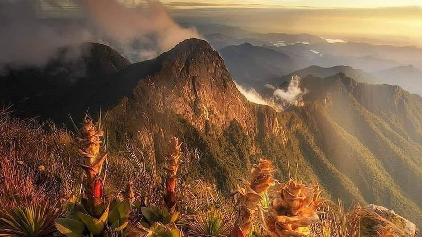 Prohíben turismo en el Cerro Las Palomas