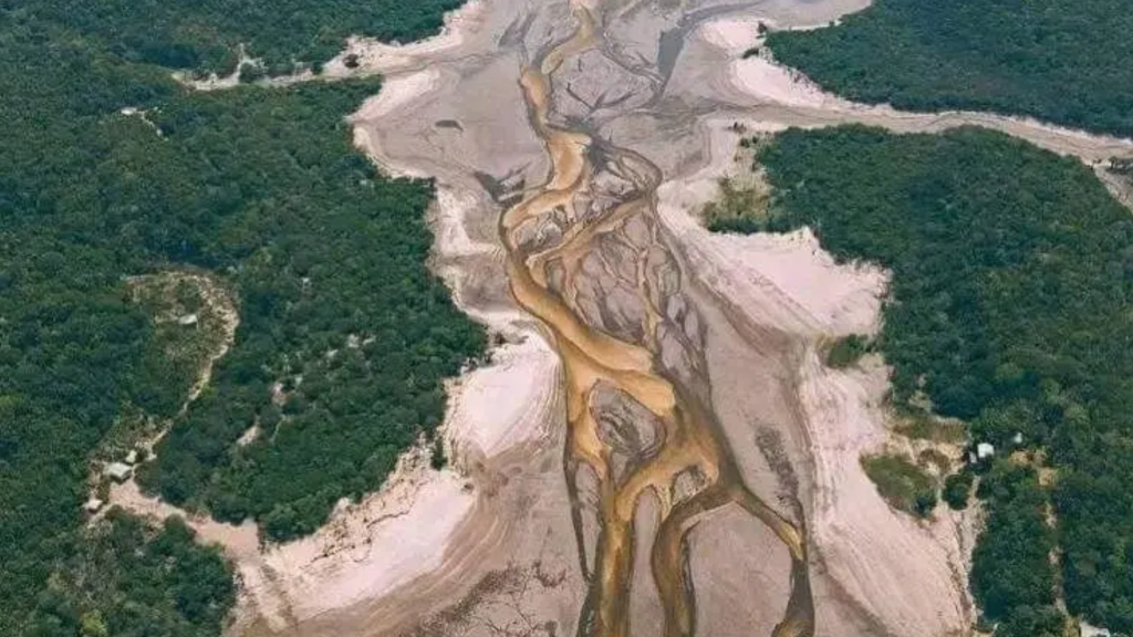 El río Amazonas en sequía