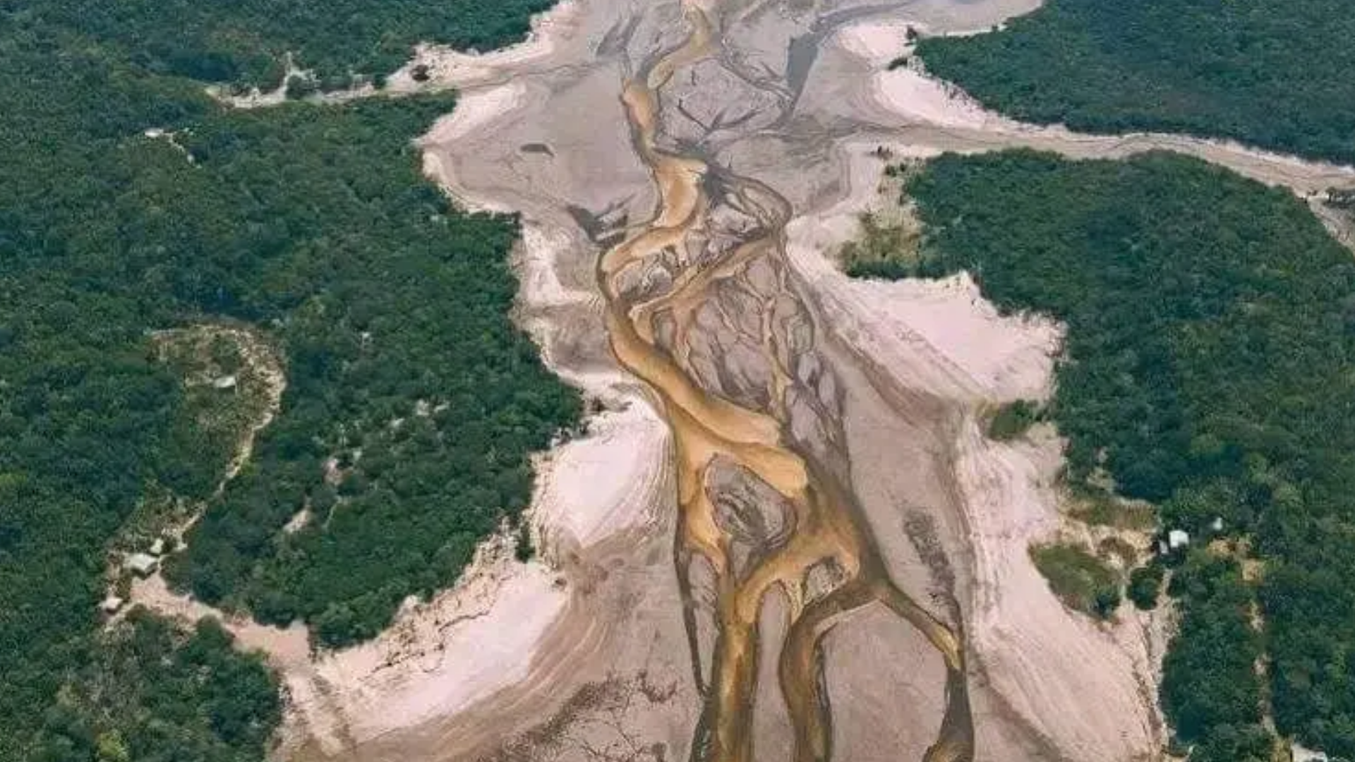 El río Amazonas sufre la sequía más grave registrada en la historia de la región