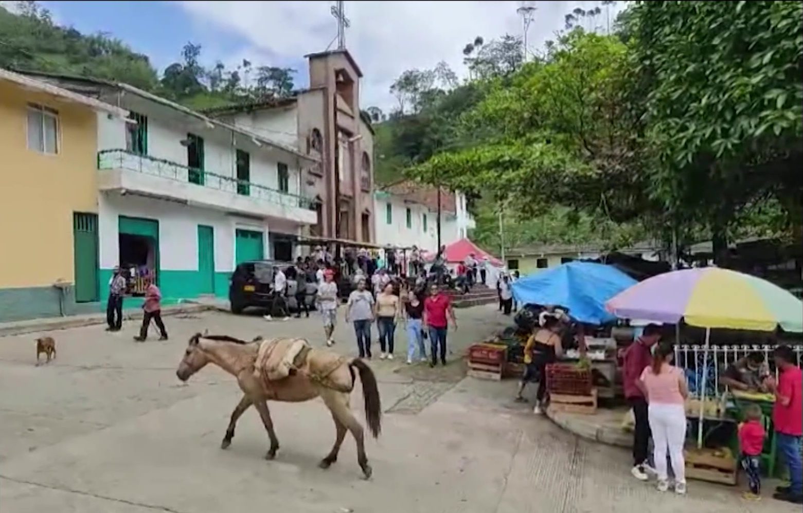 Alarma en Puerto Venus: Confirman casos de dengue y despliegan medidas preventivas