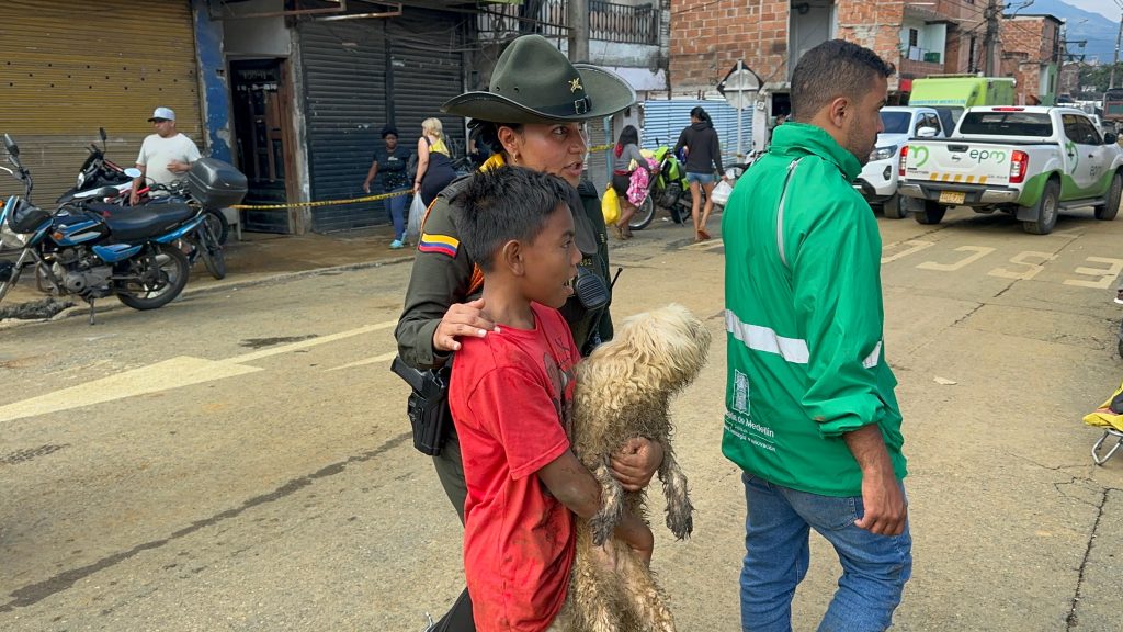 La perrita Princesa rescatada en Santa Cruz ya fue adoptada