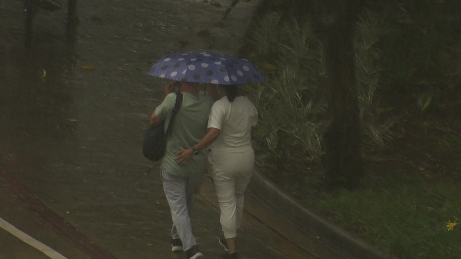 Aumentan casos de neumonía en el país por temporada de lluvias