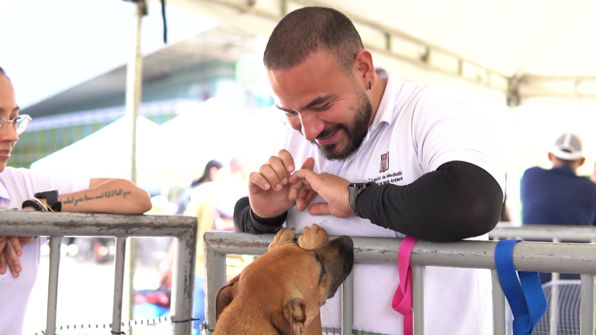 Se vivió una nueva jornada de adopción y esterilización en Medellín