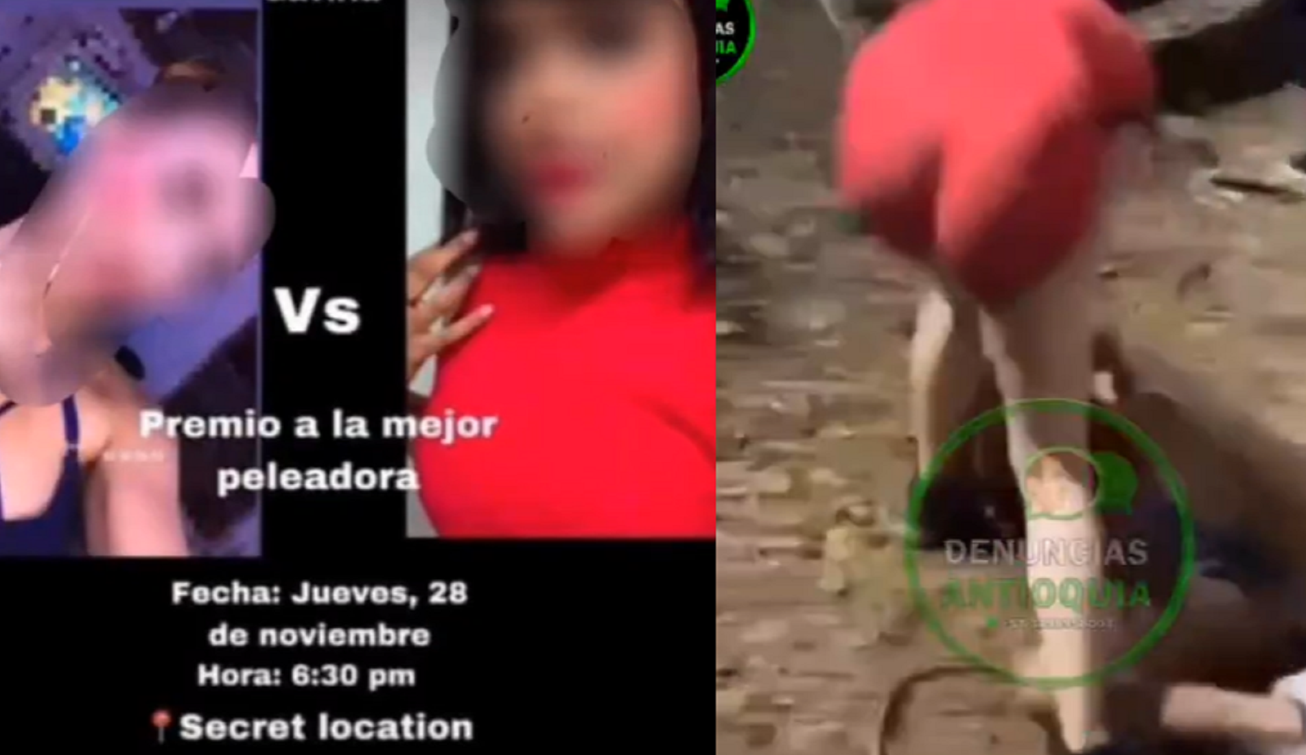 Adultos patrocinan peleas de menores en Bello que citan por redes