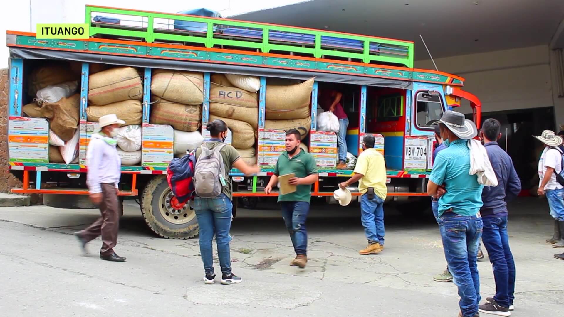 ¡Récord histórico! Ituango vive su mejor cosecha cafetera en 30 años