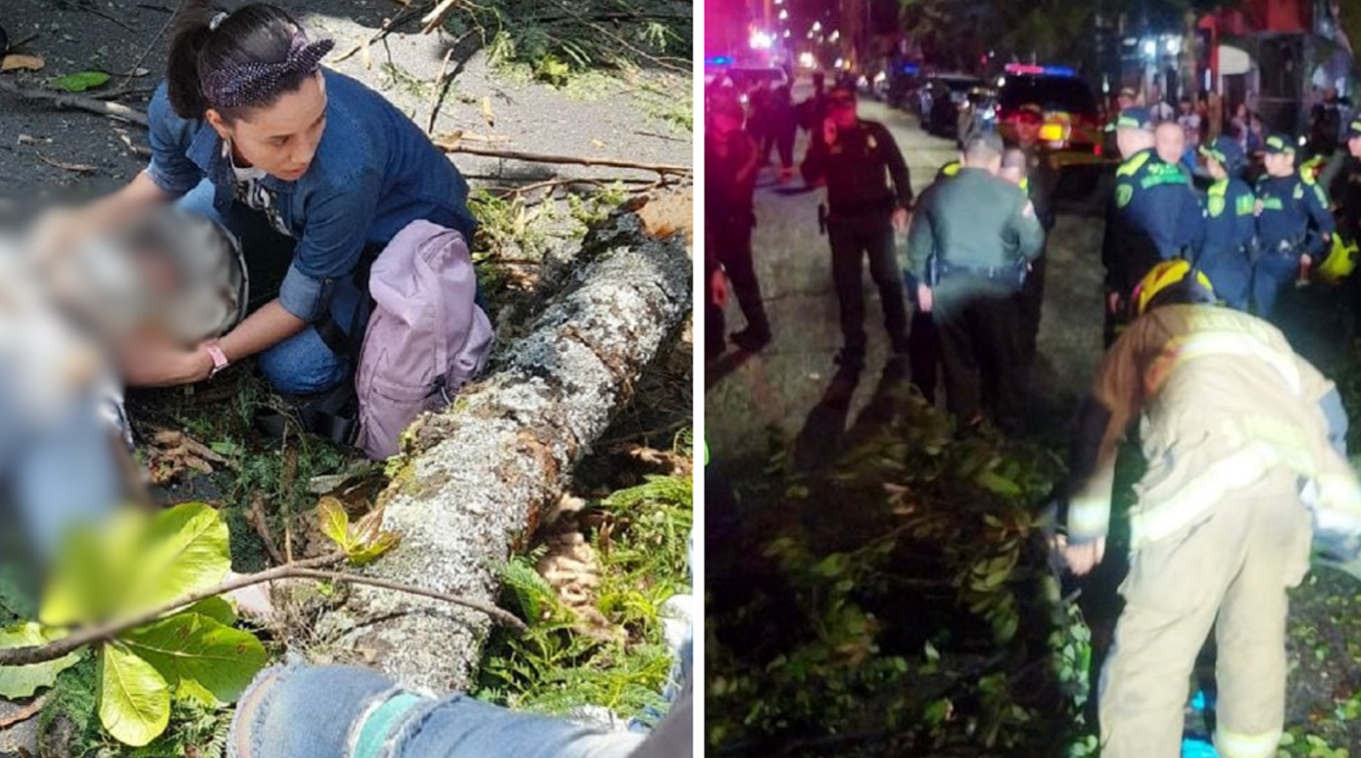 Patrullero de Policía al que le cayó un árbol en Medellín está en cuidados intensivos