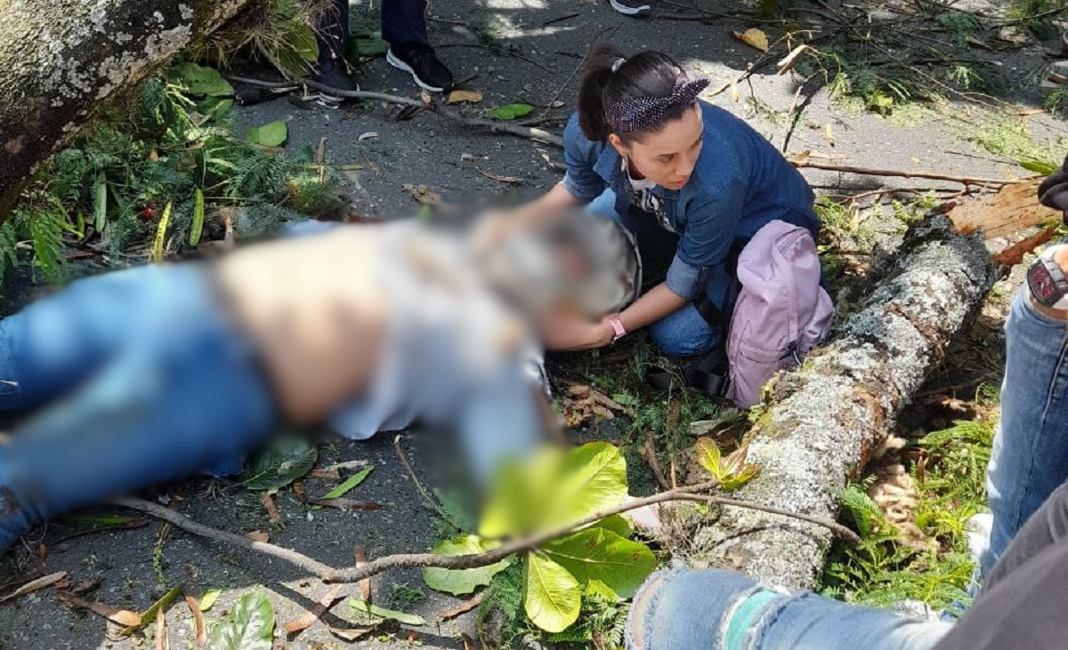 Subintendente murió luego de que árbol le cayera encima en avenida 33