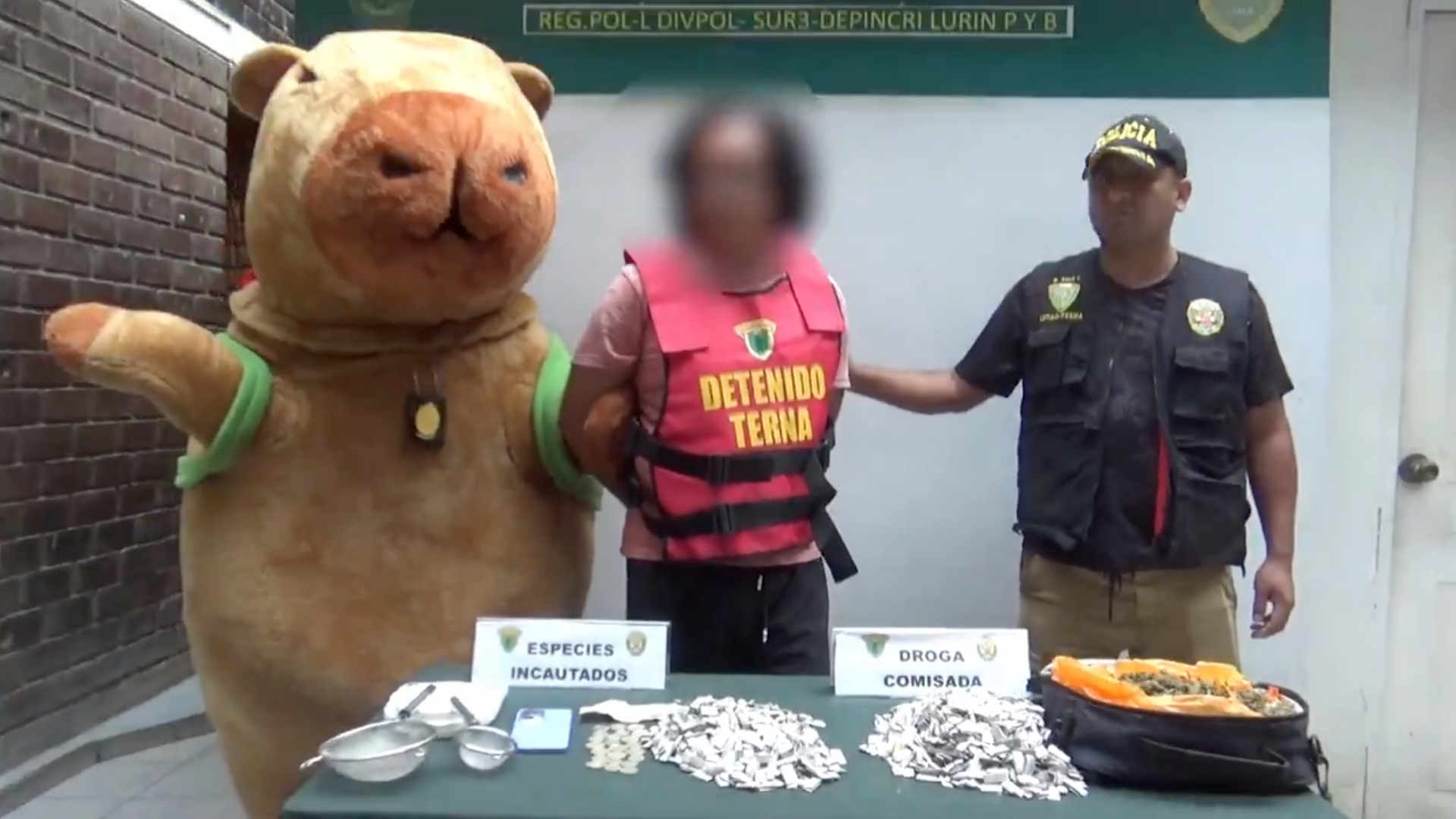 Policía se disfraza de capibara para realizar una captura en Perú