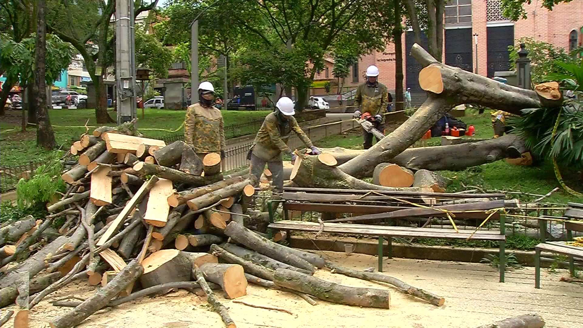 Comunidad de Villa Hermosa ya había reportado riesgo del árbol