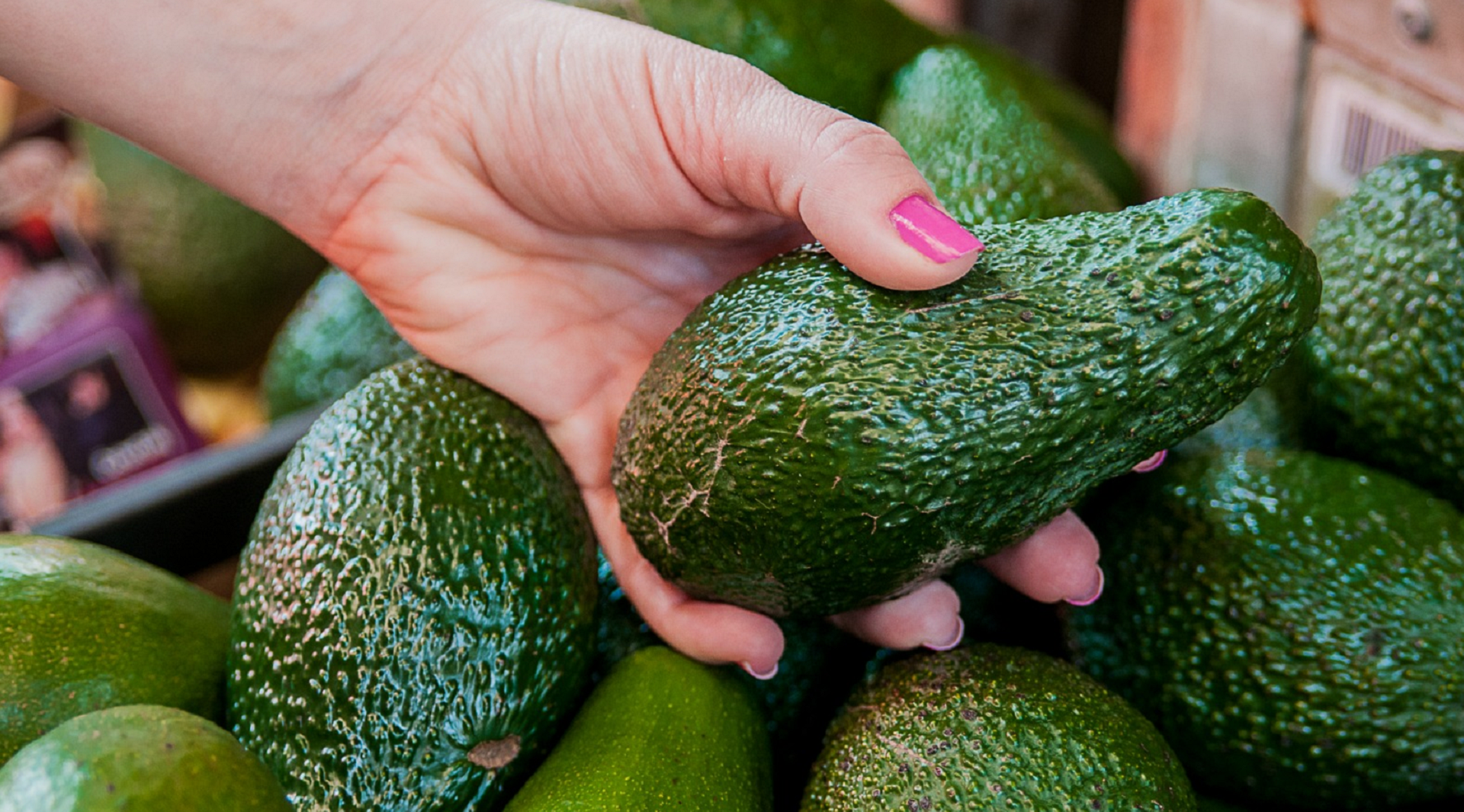 Guerra comercial de Trump afectaría exportaciones del nuevo producto estrella del agro, el aguacate hass