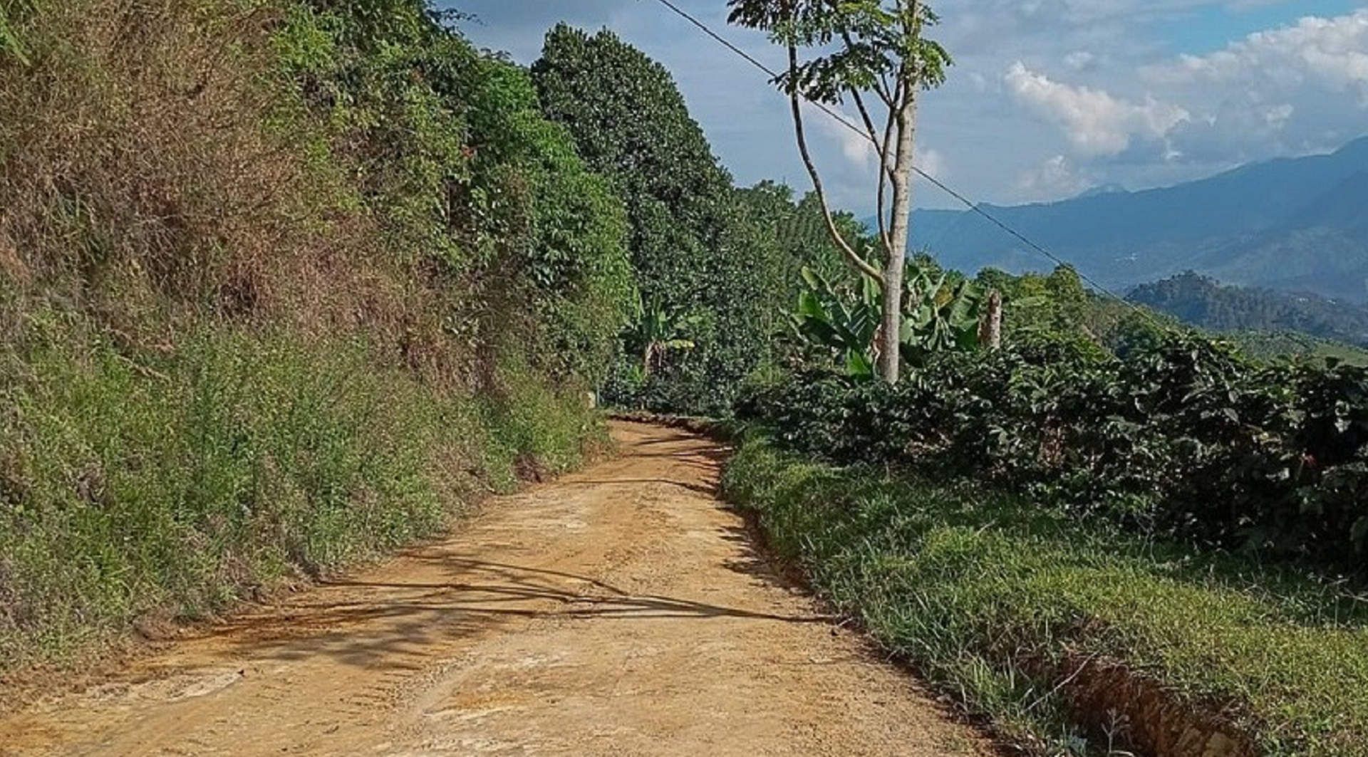 Masacran en Andes a cuatro hombres los sacaron de una finca, los amarraron y les dispararon