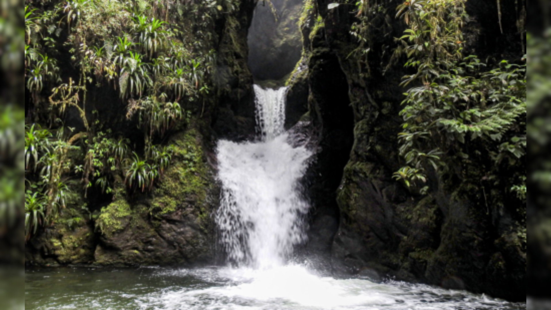 Antioquia te invita a descubrir sus impresionantes cascadas, a solo unas horas de Medellín. Vive la magia de sus paisajes naturales, rodeados de montañas y agua cristalina. ¡Es hora de conectar con la naturaleza y disfrutar de una experiencia única!